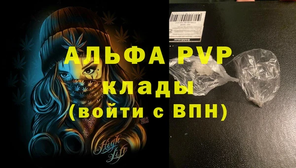 эйфоретик Магас