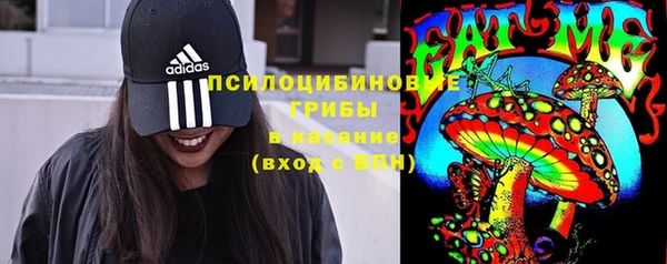 эйфоретик Магас